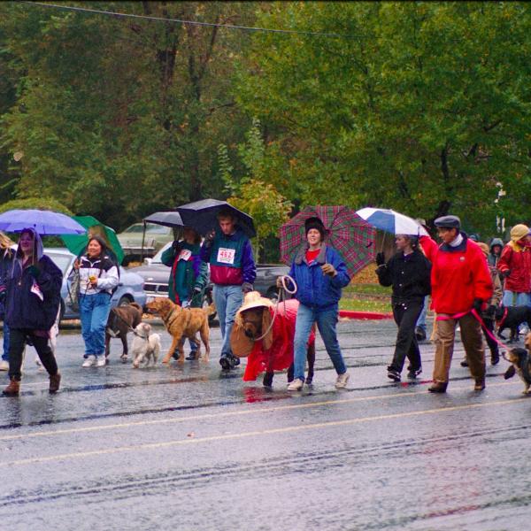 Strut Your Mutt participants make their way to the finish line, 1996.