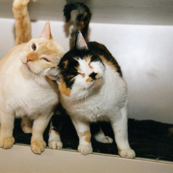 Best friends!