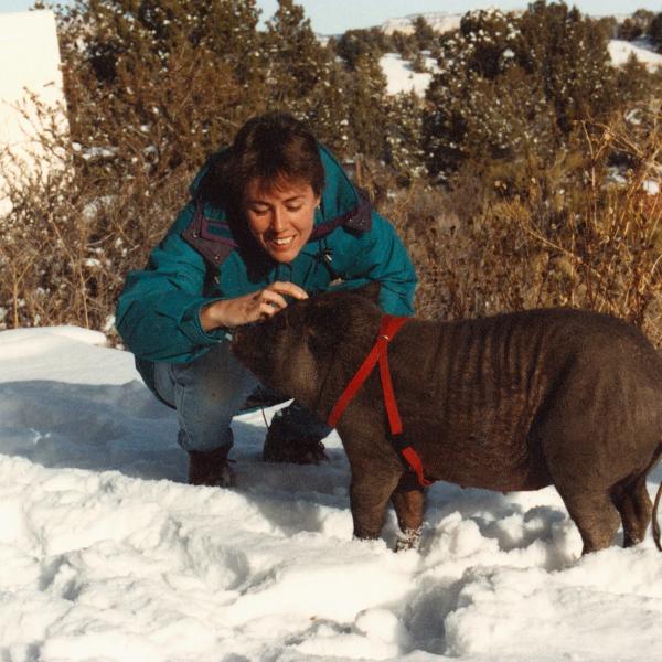 Mollie, the first pig resident of the Sanctuary, outside her home at Angel Village.