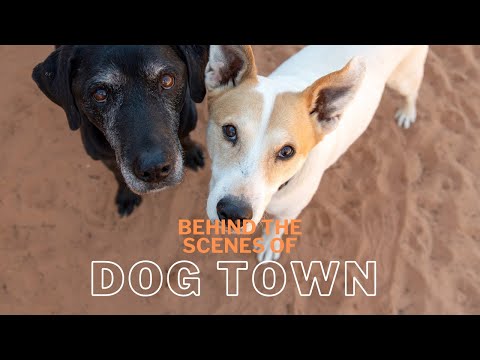 Youtube Video Embed