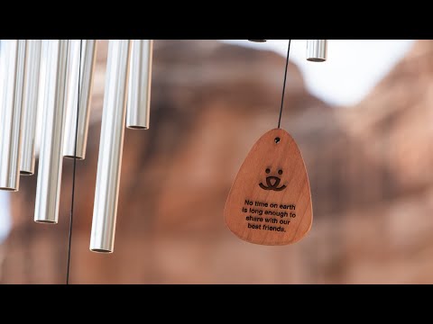 Youtube Video Embed