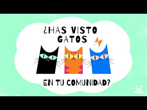 Youtube Video Embed