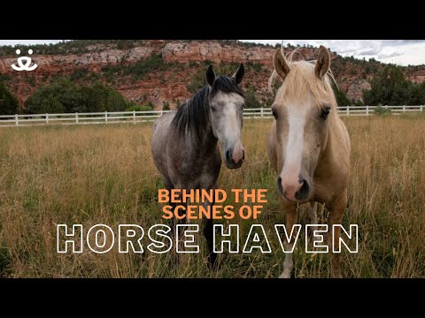 Youtube Video Embed