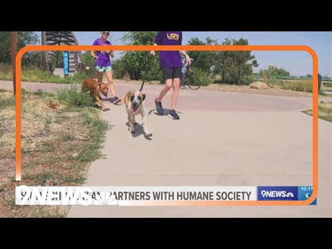 Youtube Video Embed