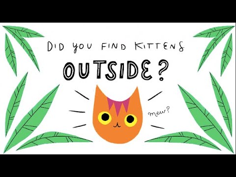 Youtube Video Embed