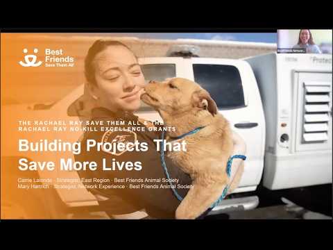 Youtube Video Embed