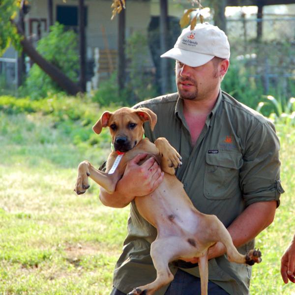 Best Friends staff members Jeff Popowich and Ethan Gurney deliver a rescued puppy to the shelter set up in Tylertown, Mississippi.