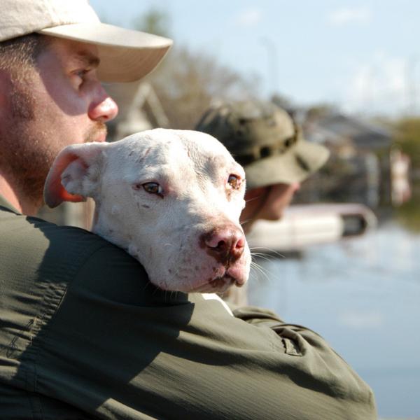 Jeff Popowich, a Best Friends employee, comforts a recently rescued dog.