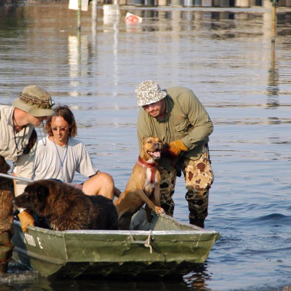 Best Friends staff take two rescued dogs