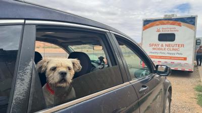 Dog in a vehicle in front of the Best Friends’ mobile clinic at the Navajo Nation