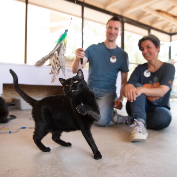 Two people interactively playing with a wand toy with a black cat