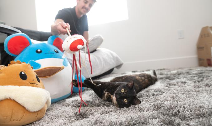 Isaac playing with a wand toy with Emmalee the cat