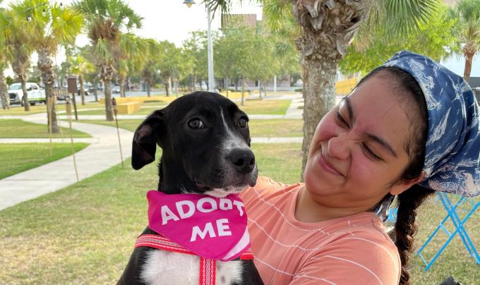 Best Friends marketing intern Jazmin Aguilar holding a dog wearing a pink Adopt Me bandanna