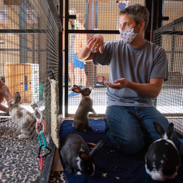 Two volunteers helping in the enclosures at Bunny House