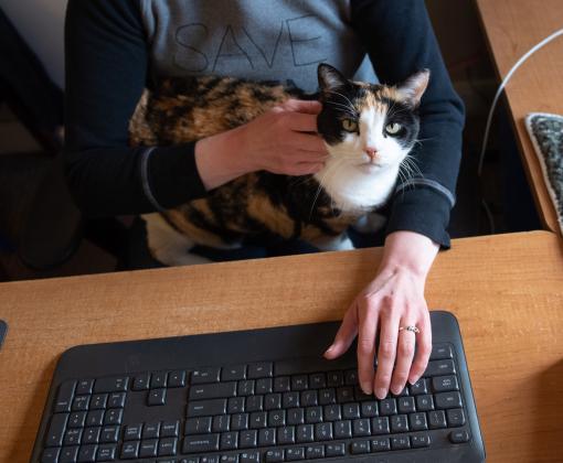 Cat sitting on a person's lap while the person is typing on a keyboard