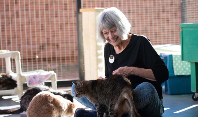 Joan Evans interacting with cats in Cat World