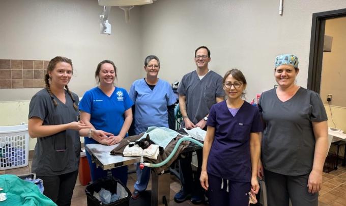 The six people of the surgical team for the Brownsville spay-neuter-a-thon around a surgical table with a sedated black cat