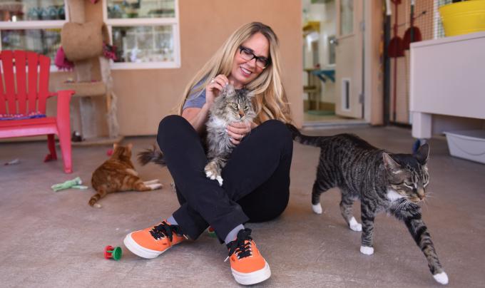 Best Friends CEO Julie Castle sitting on the floor with a cat in her lap and other cats around her