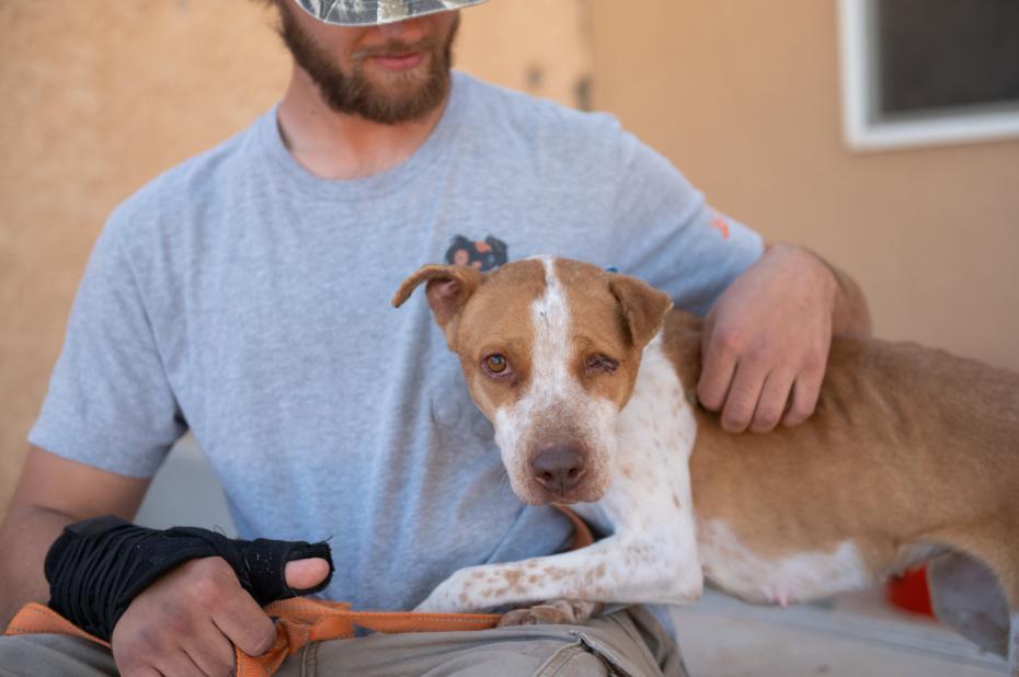 Person with his arm around a dog lying on his lap