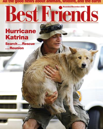 Best Friends magazine November - December 2005 cover