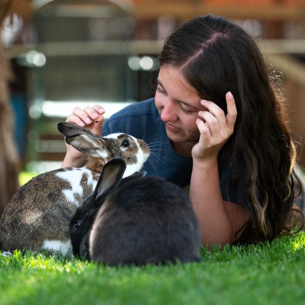 Person lying in some grass next to two rabbits