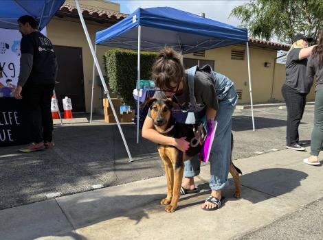 Person hugging a black and brown dog beside a shade canopy at the dog spay/neuter event