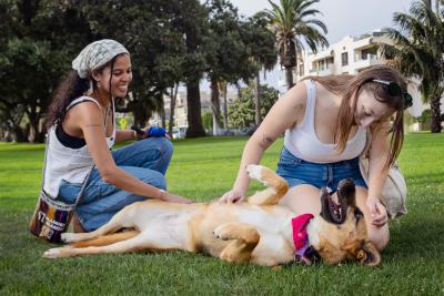 Two people with a dog outside lying on green grass