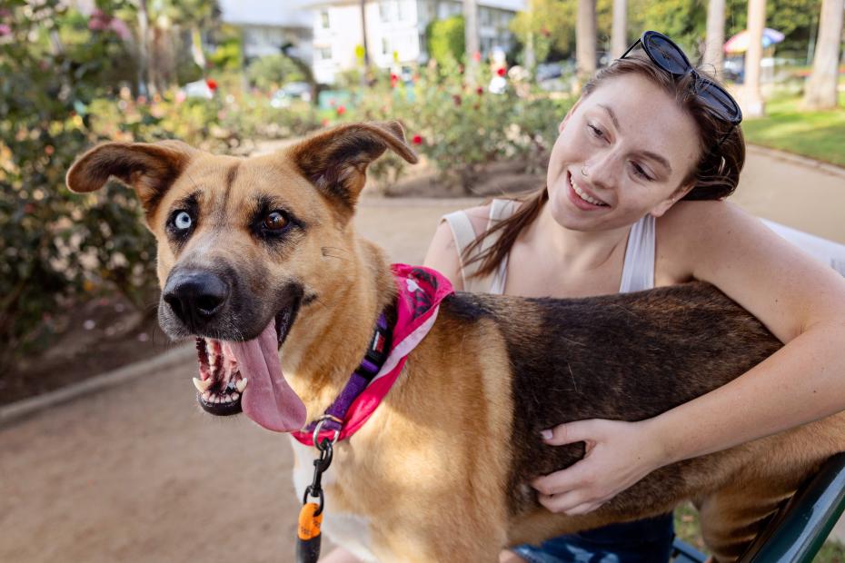 Person hugging a dog outside who is smiling and tongue is out