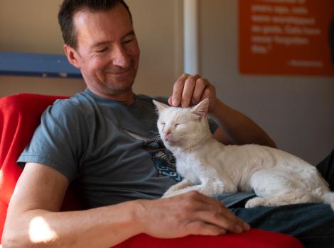 Mike Lorrig petting Bae the cat in his lap