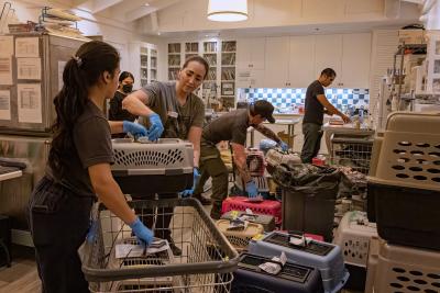 Unloading cats and dogs from the first Wings of Rescue Los Angeles wildfire transport