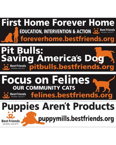 Bumper stickers with the Best Friends campaign slogans