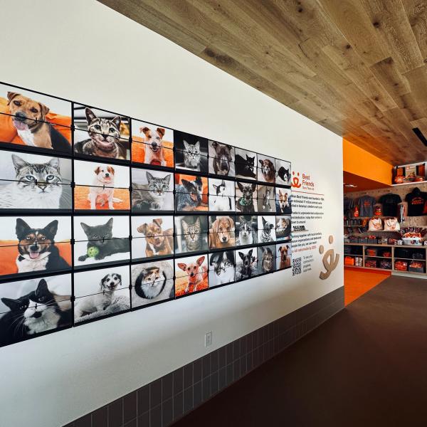 The flip screen provides a fun, retro way to learn about Best Friends and the road to no-kill 2025. Here you'll find images and information about adoptable animals, upcoming events and ways to get involved in our lifesaving work. Photo credit: tbmerritt