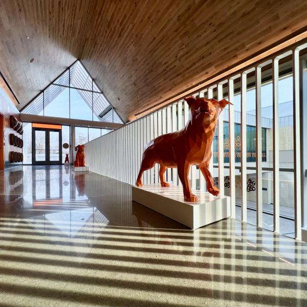 The sculptures at the Best Friends Pet Resource Center in Northwest Arkansas pay tribute to the beloved pets of our capital campaign donors. Photo credit: tbmerritt