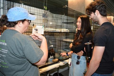 Excited adopters talking with a shelter employee in front of an adoptable cat in a cage.