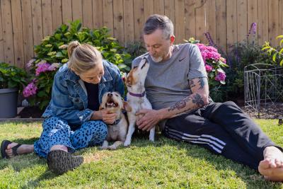 Two people lying on the lawn with two small dogs