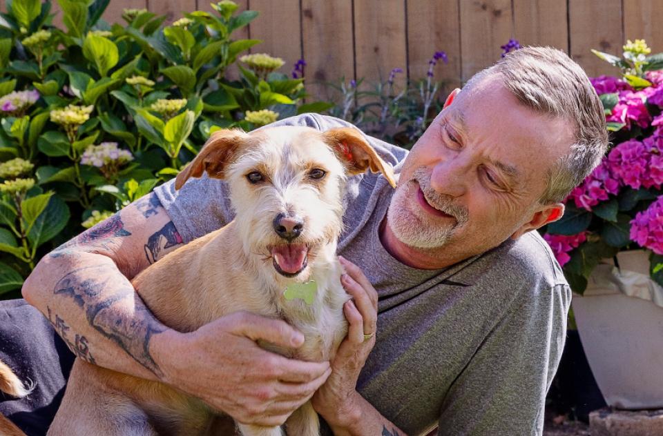 Medium brown and white dog being held on lawn by adopter