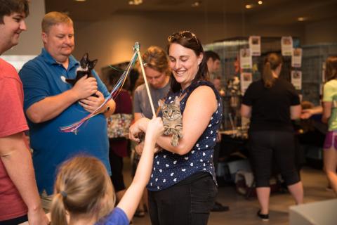 woman in a group holding cat with cat toy 