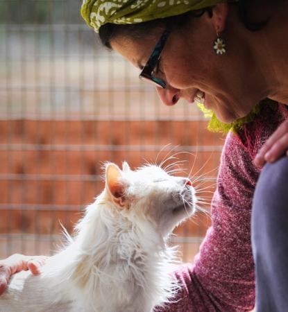 cat getting pets from smiling woman