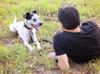 Person relaxing in a grassy spot with a dog next to them