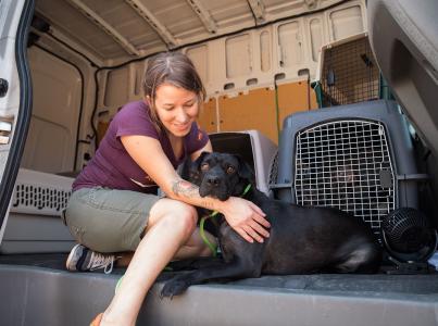 Woman and dog sitting in transport van