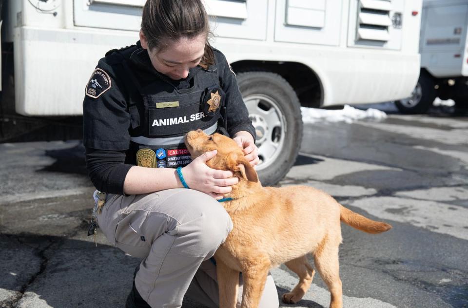 An animal services officer affectionately pets a dog