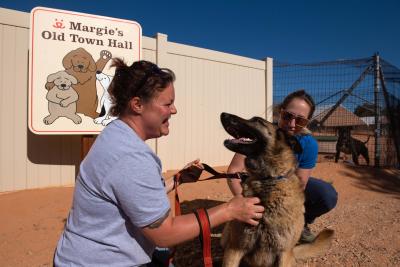 Person petting Marge the dog in front of the Margie's Old Town Hall sign