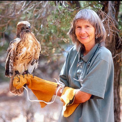 Sharon St. Joan holding a bird of prey