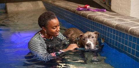 lady in water with dog