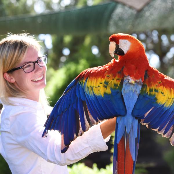 Smiling person holding a macaw whose wings are spread and eyes are closed