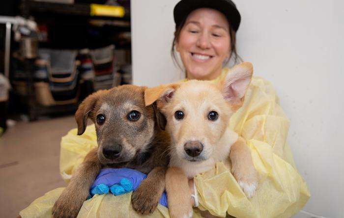 Two puppies on the lap of a smiling person wearing protective clothing