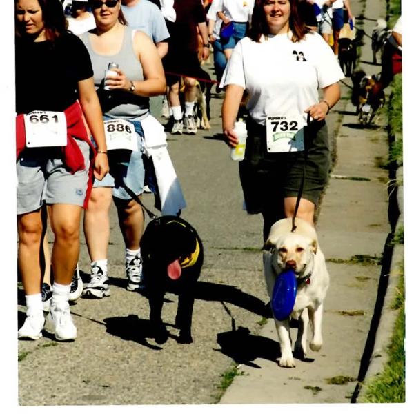 Group of people walking dogs at Strut Your Mutt