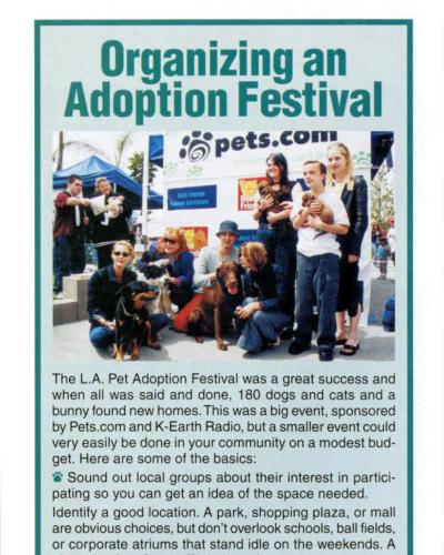 Preview of Super Adoption magazine articles