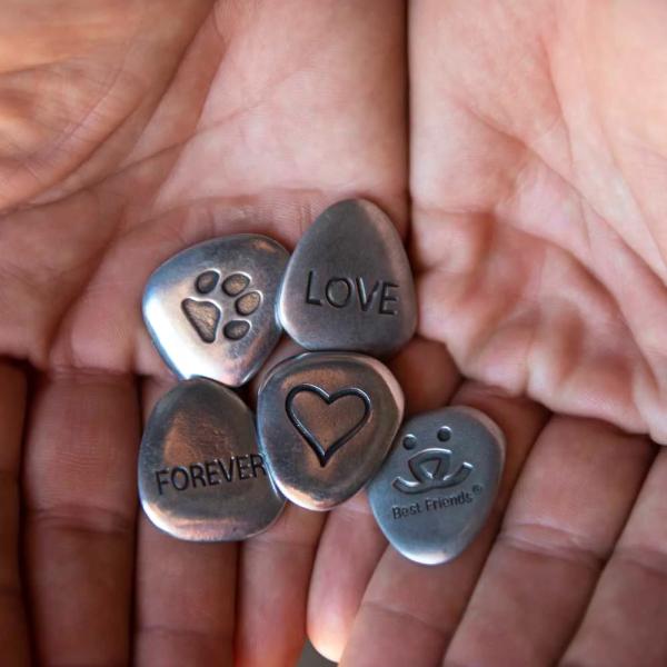 Pet remembrance tokens