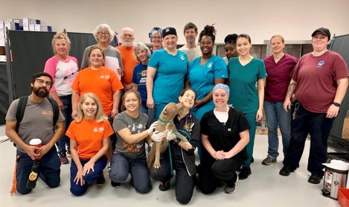 Group shot of the high-volume spay/neuter team in Houston